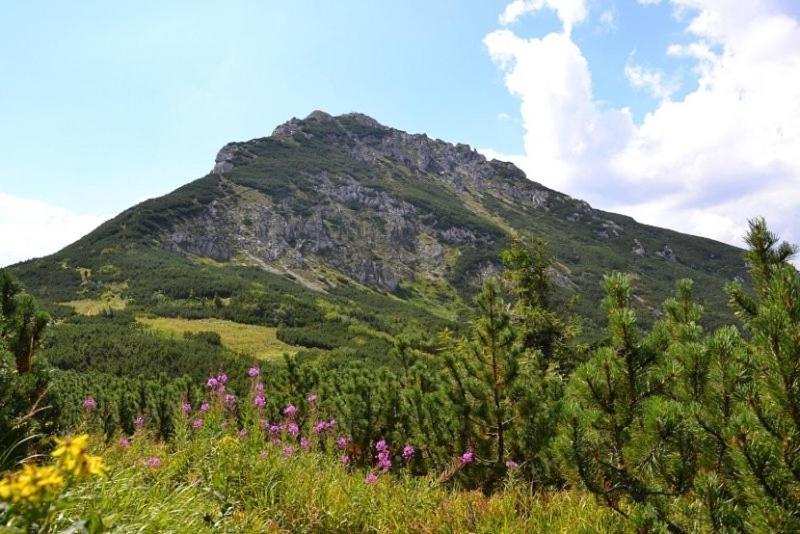 Penzion Kamzik A Drevenica Habovka Exterior foto